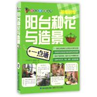正版新书]阳台种花与造景一点通/爱生活享健康丛书编者:花草游戏