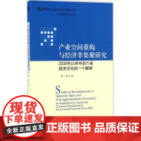 产业空间重构与经济非集聚研究