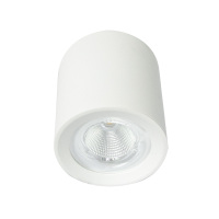 凯瑞CARY LED筒灯HLD2008 36w