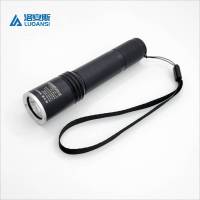 洛安斯 微型防爆电筒 HZ7302B 个