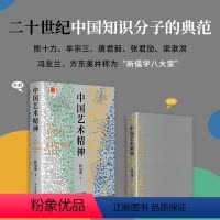 [正版] 中国艺术精神 了解中国艺术与文化 艺术界经典作品 美学理论重点研究书籍 与历史考据相结合 艺术史美学史奠
