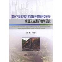 [N]贵州下寒武统含多金属元素黑色页岩系成因及应用矿物学研究-9787502458447