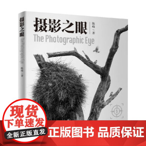 摄影之眼 陈峰 著 摄影