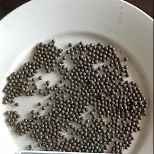 宏炜志腾 铸钢丸 1.7mm 千克