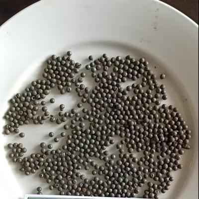 宏炜志腾 铸钢丸 1.7mm 千克