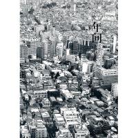 正版新书]10年间:逄小威摄影作品:a photo collection by Pang X