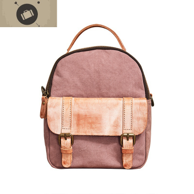 双肩包女小包2019新款帆布休闲韩版女包大学生女士小背包潮流艾狄伊娃