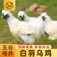 [苏鲜生推荐]三物纪白羽乌鸡800g/只 3只装新鲜现杀冷冻肉质鲜美农家慢养整只顺丰发货