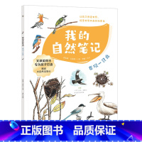 我的自然笔记.发现一只鸟 [正版]我的自然笔记.发现一只鸟