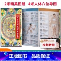[正版]附视频教程396个成人穴位对症理疗思维导图 人体经络穴位图解 中医按摩经络穴位书籍经络穴位艾灸刮痧按摩大全 经络