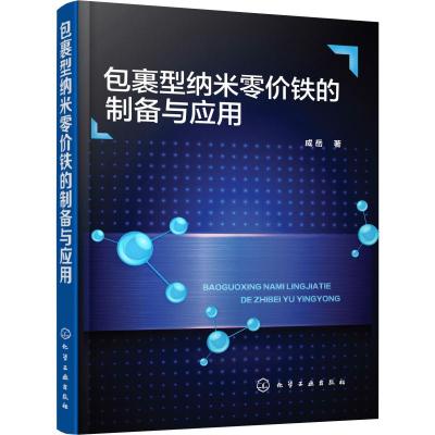 包裹型纳米零价铁的制备与应用