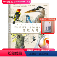 [正版]何以为鸟:西布利的鸟类世界 中国国家地理图书