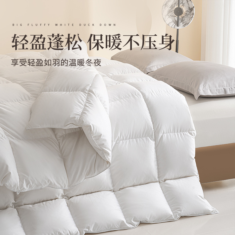 白鹅绒被芯羽绒被3754