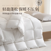 白鹅绒被芯羽绒被3754
