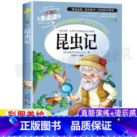 [正版]昆虫记三年级四年级必读彩图美绘名师导读版原著法布尔完整版课外书小学生青少年五六年级全集插画版山东美术出版社邓敏