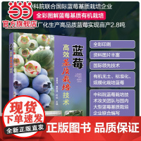 蓝莓高效基质栽培技术 曾其龙 蓝莓基质栽培的现状与发展蓝莓生物学特性 全彩图解蓝莓基质有机栽培 蓝莓专业技术人员科研人员