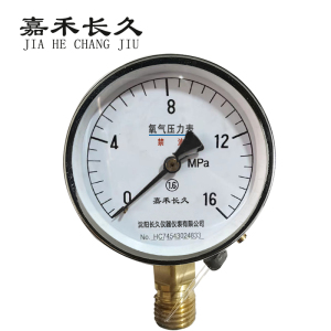 嘉禾长久+氧气压力表检测定制型+YO100+块