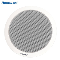 湖山同轴吸顶同轴音箱 GXD-30W(支)