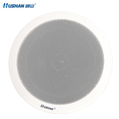 湖山同轴吸顶同轴音箱 GXD-30W(支)