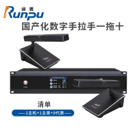 润普Runpu RP-YS6665 国产化手拉手系统 专业有线手拉手麦克风工程会议话筒 桌面鹅颈麦一拖十