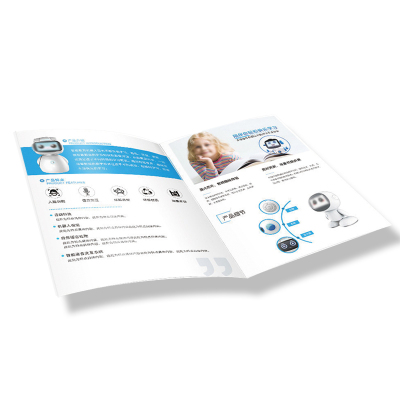 振之宏 宣传页 21*29.7 张