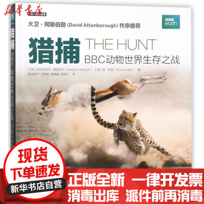 新华书店-正版猎捕：BBC动物世界生存之战阿拉斯泰尔·福瑟吉尔人民邮电出版社9787115449979生物世界