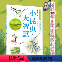 [正版]11-14岁小昆虫,大智慧 身边无数有趣的生物学现象 大人孩子都可以读的科普读物 认识自然 探索自然 华东师