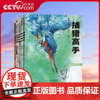 [央视网]解锁动物生存密码 ZK