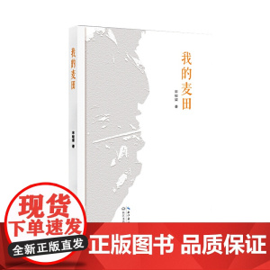 我的麦田