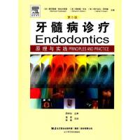 正版新书]牙髓病诊疗原理与实践(第5版)穆罕默德·特拉白哲德97
