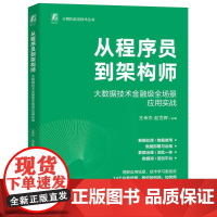 从程序员到架构师 大数据技术金融级全场景应用实战 王伟杰赵世辉著 金融级别大数据技术应用全场景全技术 程序设计书籍