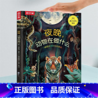 奇妙环球之旅 夜晚,动物在做什么 [正版]奇妙环球之旅(2册)夜晚,动物在做什么 6-10-12岁儿童科普百科立体视