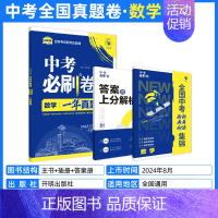 [一年真题]数学 初中通用 [正版]2025中考数学英语九年级必刷中考真题分类语文物理化学初中初三中考总复习资料初三中考