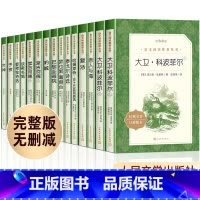 [全15册]高中必读经典书目 [正版]高中生阅读全套15册人民文学出版社高一高二高三红楼梦老人与海巴黎圣母院堂吉诃德泰戈
