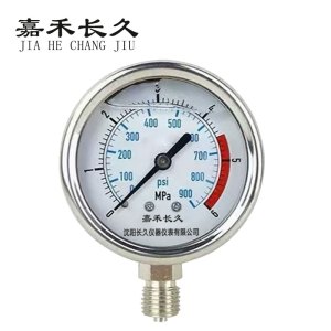 嘉禾长久 耐震压力表检测定制型 YTN50 块