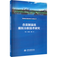 合流制溢流模拟分析技术研究