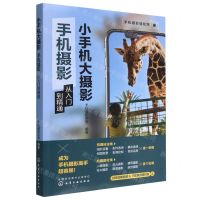 [N]小手机大摄影(手机摄影从入门到精通)/手机摄影轻松学-9787122421005