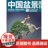 中国盆景赏石2012-10 中国盆景艺术家协会 主编 中国林业出版社 正版书籍