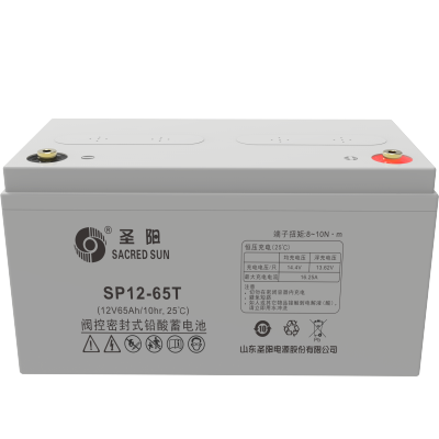 圣阳 蓄电池 SP12-65T 套