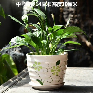 [补贴10%]花盆陶瓷个性大号特大号带托盘家用阳台绿萝多肉花盆立体艺术桌面