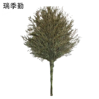 瑞季勤 一体式大扫把 3斤 把