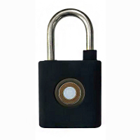 德拉奇 WX-50 ABS 50*54*27mm AES加密 锌合金挂锁