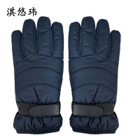 淇悠玮 防寒手套 QSB35 双