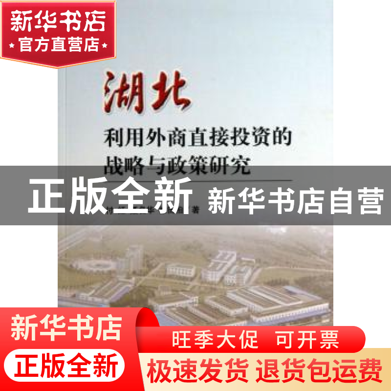 正版 湖北利用外商直接投资的战略与政策研究 付红,聂名华,徐田
