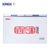 星星(XINGX) 203升 家用商用双温冰柜 双箱冷柜 顶开门大容量 BCD-203EJD