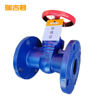 瑞吉君 法兰暗杆闸阀 DN65 个