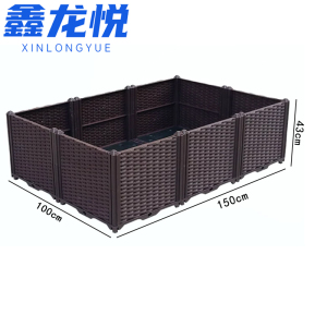 鑫龙悦