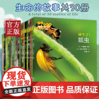正版童书 生命的故事123辑共30册修订版昆虫记动物自然物语少儿科普诞生了蜘蛛诞生了蝌蚪 日本全国学校图书馆协会儿童文学