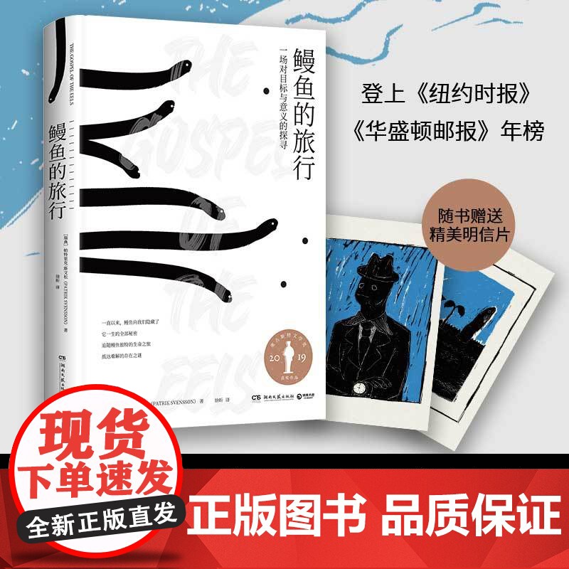 鳗鱼的旅行(荣获奥古斯特文学大奖,《纽约时报》《福布斯》《洛杉矶时报》等一致!)