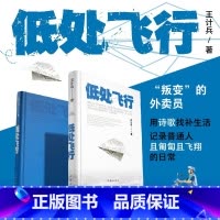 [正版]低处飞行 现象级网红诗人王计兵 海量报道 2600多万人阅读 “叛变”的外卖员用诗歌找补生活 记录普通人且匍匐